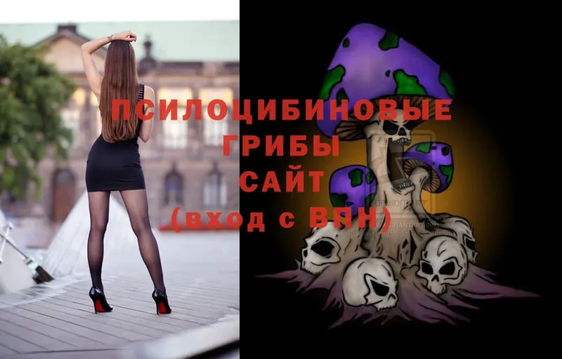 Псилоцибиновые грибы Magic Shrooms  blacksprut tor  Талдом 