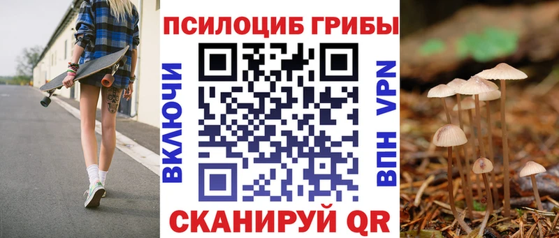 площадка состав  Талдом  Галлюциногенные грибы мухоморы 