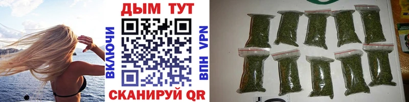 Конопля сатива Талдом